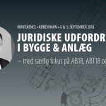 Bo Schmidt Pedersen, Kammeradvokaten