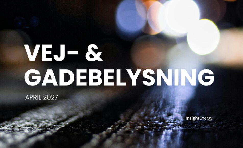 Vej- & gadebelysning - konference - Insight Energy