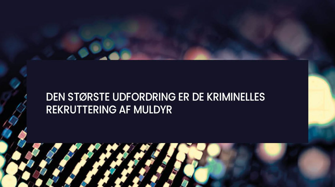 Andreas på Hvidvask om kriminelles rekruttering