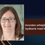 fraud i sydbank med Helena