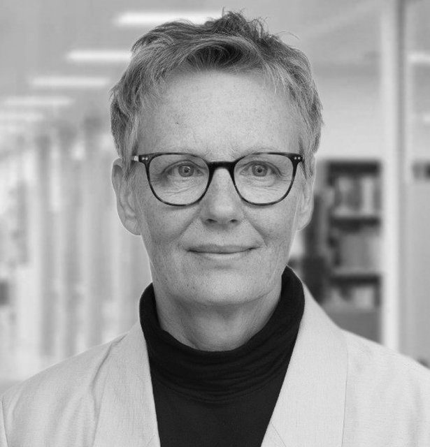 Helle Ina Elmer taler på konferencen Miljølovgivning - Insight Legal